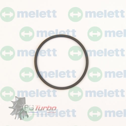 PIECES DETACHEES - Segment - O Ring GT37 Actuator 1.76mm Section (403069-0231)

