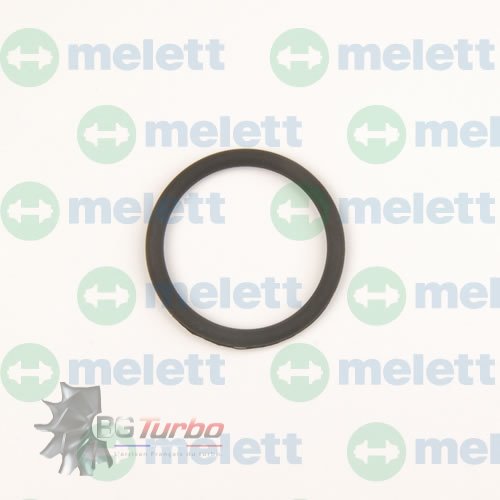 PIECES DETACHEES - Segment - O Ring GT37 Actuator 3.4mm Section (403069-0232)
