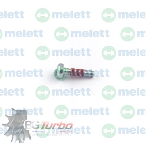 PIECES DETACHEES - Visserie - Screw (Plaque Arrière) GT12-15Z (M3 x 0.5)
