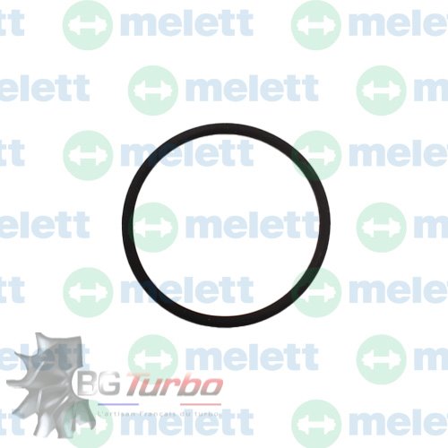 PIECES DETACHEES - Segment - O Ring GT15-25 (Plaque arrière)
