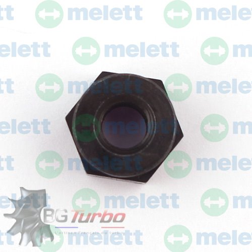 PIECES DETACHEES - Visserie - Shaft Nut B03G (RHT)
