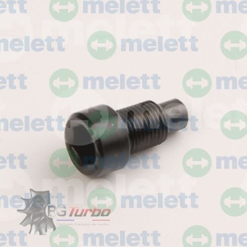 Turbo PIECES DETACHEES - Visserie - Anti-Rotation Screw RHV4
