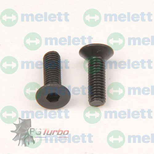 Turbo PIECES DETACHEES - Visserie - Screw (Plaque arrière) RHB5
