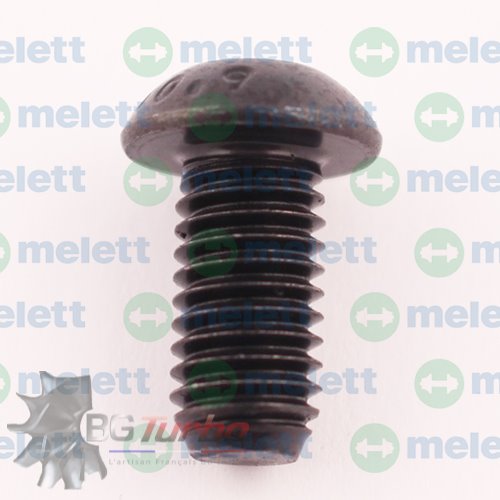 Turbo PIECES DETACHEES - Visserie - Bolt RHG6 (Plaque arrière)

