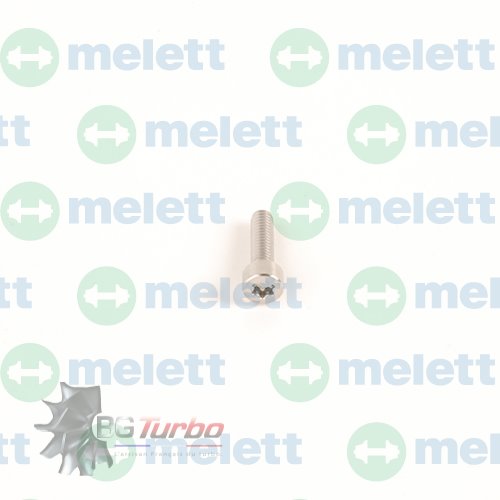 Turbo PIECES DETACHEES - Visserie - Screw (Plaque arrière) CT2

