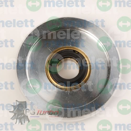 PIECES DETACHEES - Plaque arrière - Insert Plaque arrière Assy CT20 (Carbon Seal)
