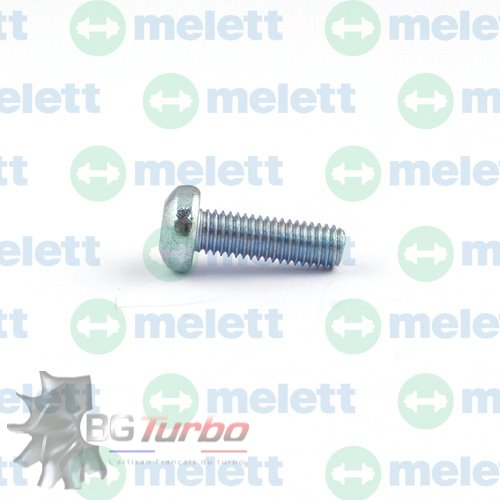 Turbo PIECES DETACHEES - Visserie - Bolt (Boost Relief Valve) Turbocharger Continental GTDI12V (1761181)
