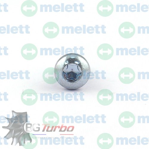 PIECES DETACHEES - Visserie - Bolt (Boost Relief Valve) Turbocharger Continental GTDI12V (1761181)
