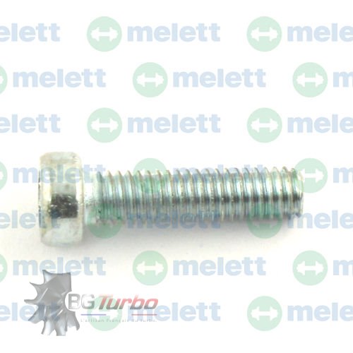 Turbo PIECES DETACHEES - Visserie - Screw (Plaque arrière) BM70B (Turbo 04L253010B/T)

